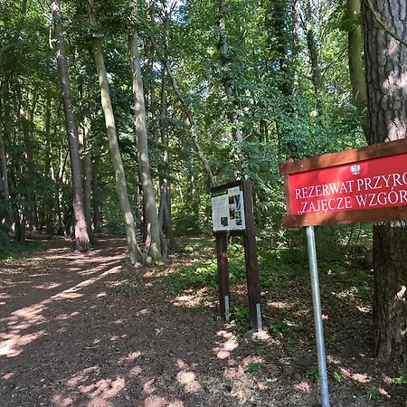 Wakacyjny Apartmán *